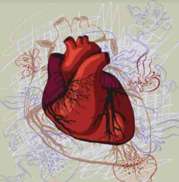 Dr Rana DAHMANI Ep HELALI