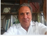 الدكتور محمود الشافعي